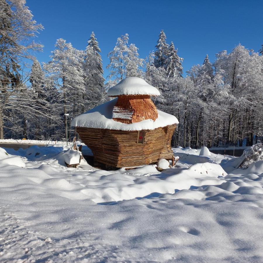 Apartman Mitterdorf Almberg 7 Mitterfirmiansreut Bagian luar foto